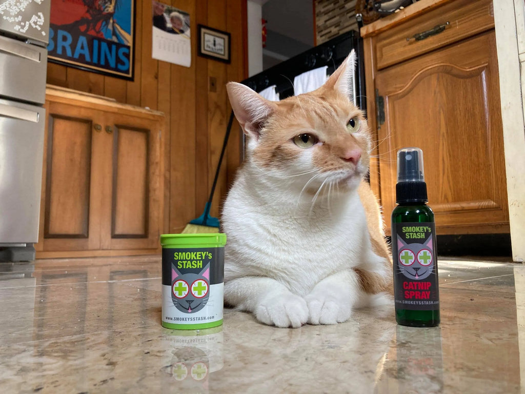 Smokey's Stash Catnip Combo Pack with assorted cat treats, featuring colorful packaging and playful cat illustrations.