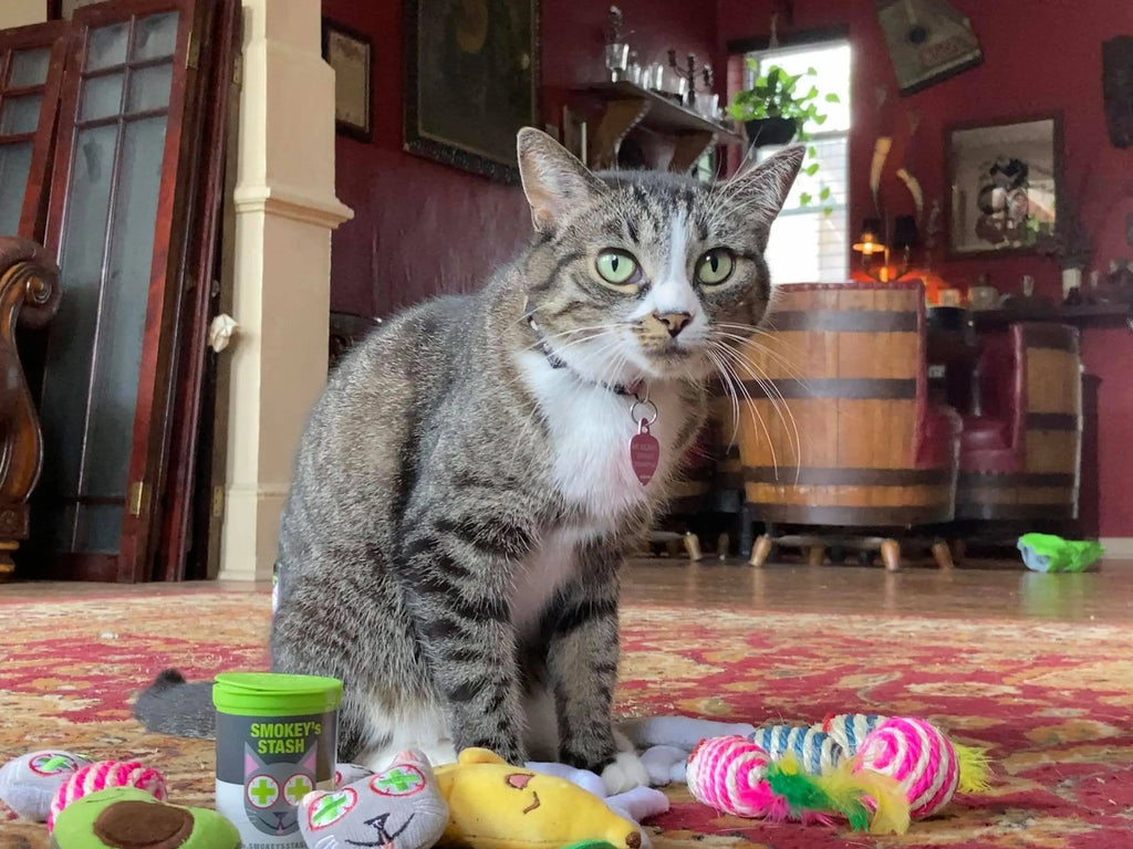Smokey's Stash Organic Catnip OG Puss Pop Top cat treats in a colorful package, designed for playful and healthy feline enjoyment.