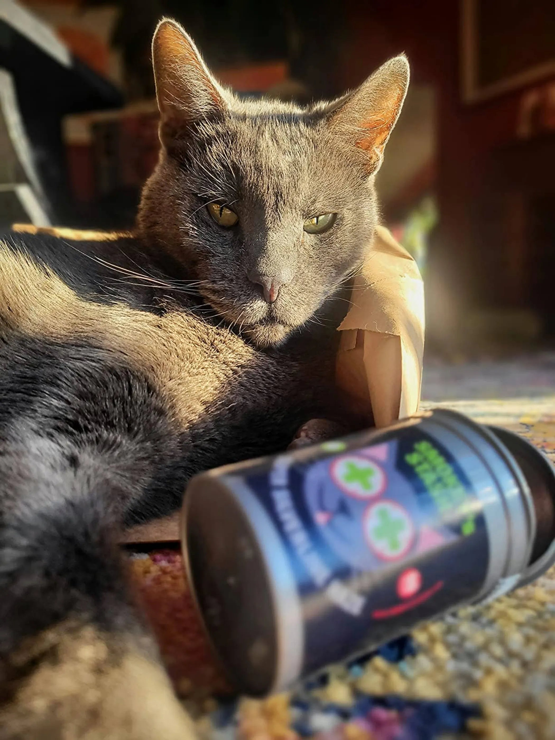 Smokey's Stash Silvervine Haze cat treats featuring silvervine and catnip for feline play and enjoyment.