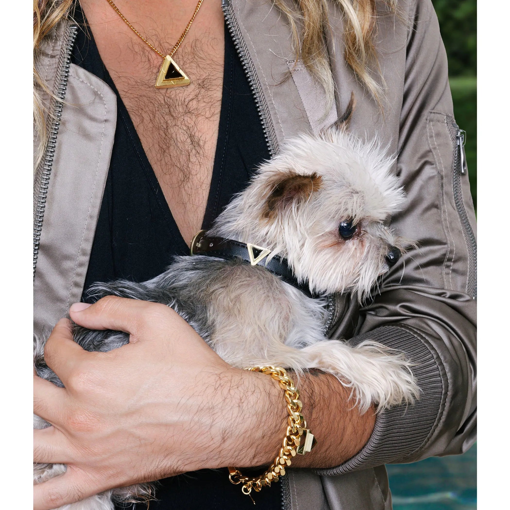 DIPHDA Jet Onyx collar charm set for pets, featuring stylish black onyx accents on a pet accessory collar.
