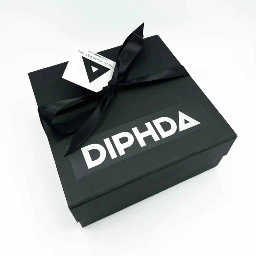 DIPHDA Jet Onyx pet accessories gift set with matching collar, leash, and bandana for dogs or cats, in stylish black design.