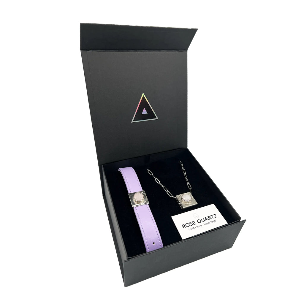 Lavender rose pet gift set by DIPHDA featuring pet accessories such as collar, leash, and charm with floral design.