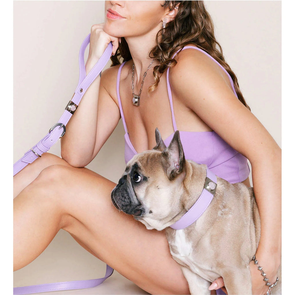 Lavender and rose-themed pet accessories gift set by DIPHDA, including collars and charms for small pets.