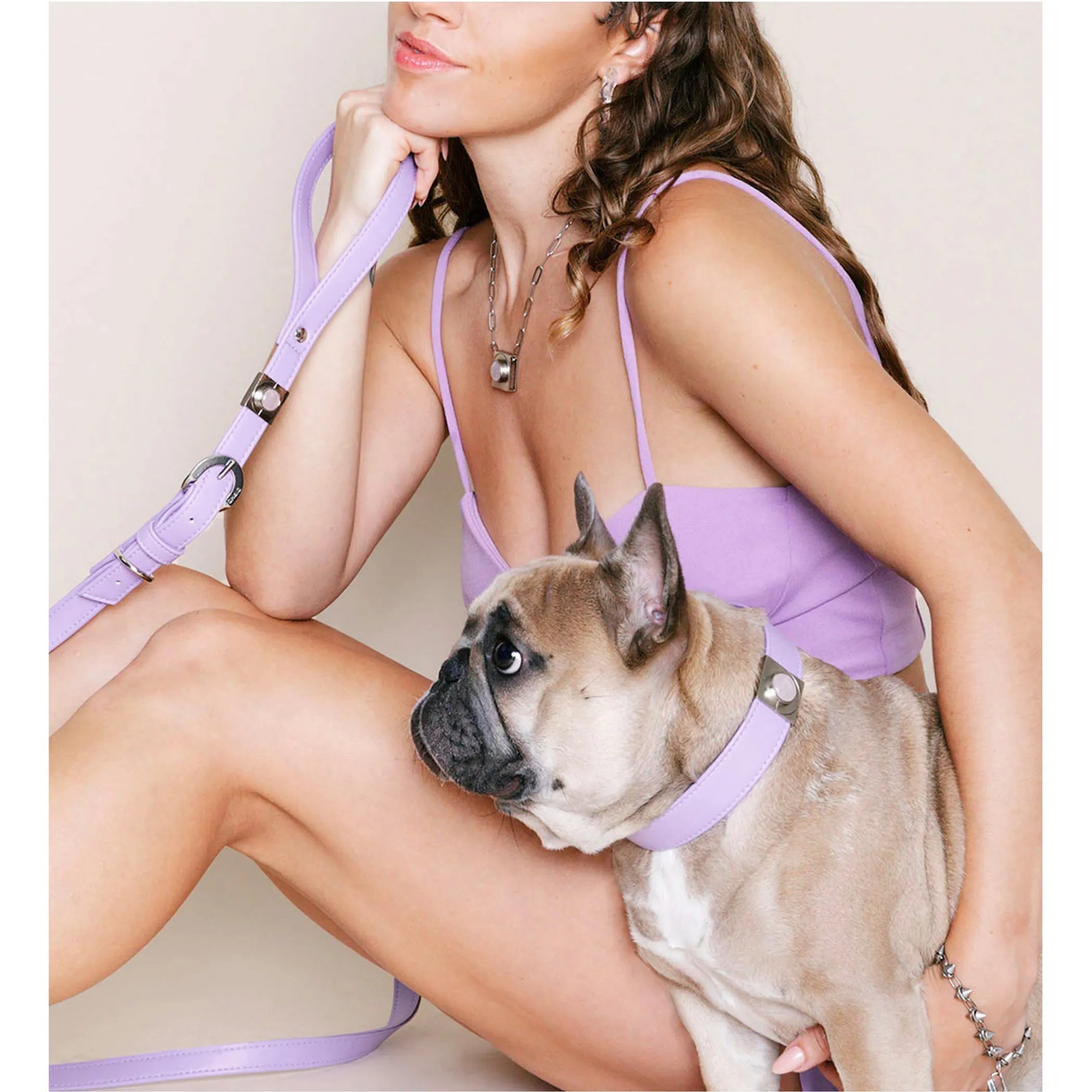 Lavender rose pet collar charm set by DIPHDA featuring floral accents and adjustable straps for small to medium pets.