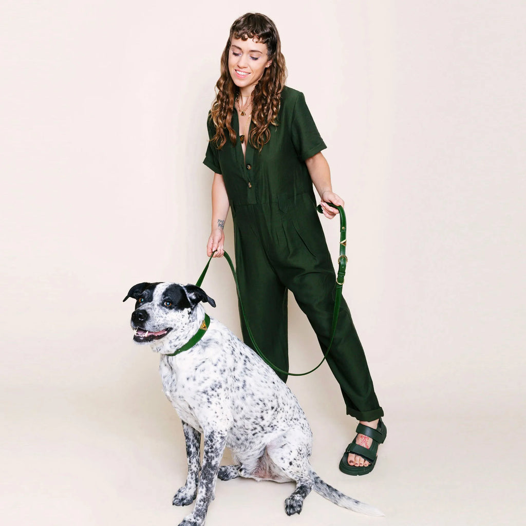 Olive Tiger Match Your Pet Gift Set from DIPHDA featuring pet accessories with olive and tiger print designs.