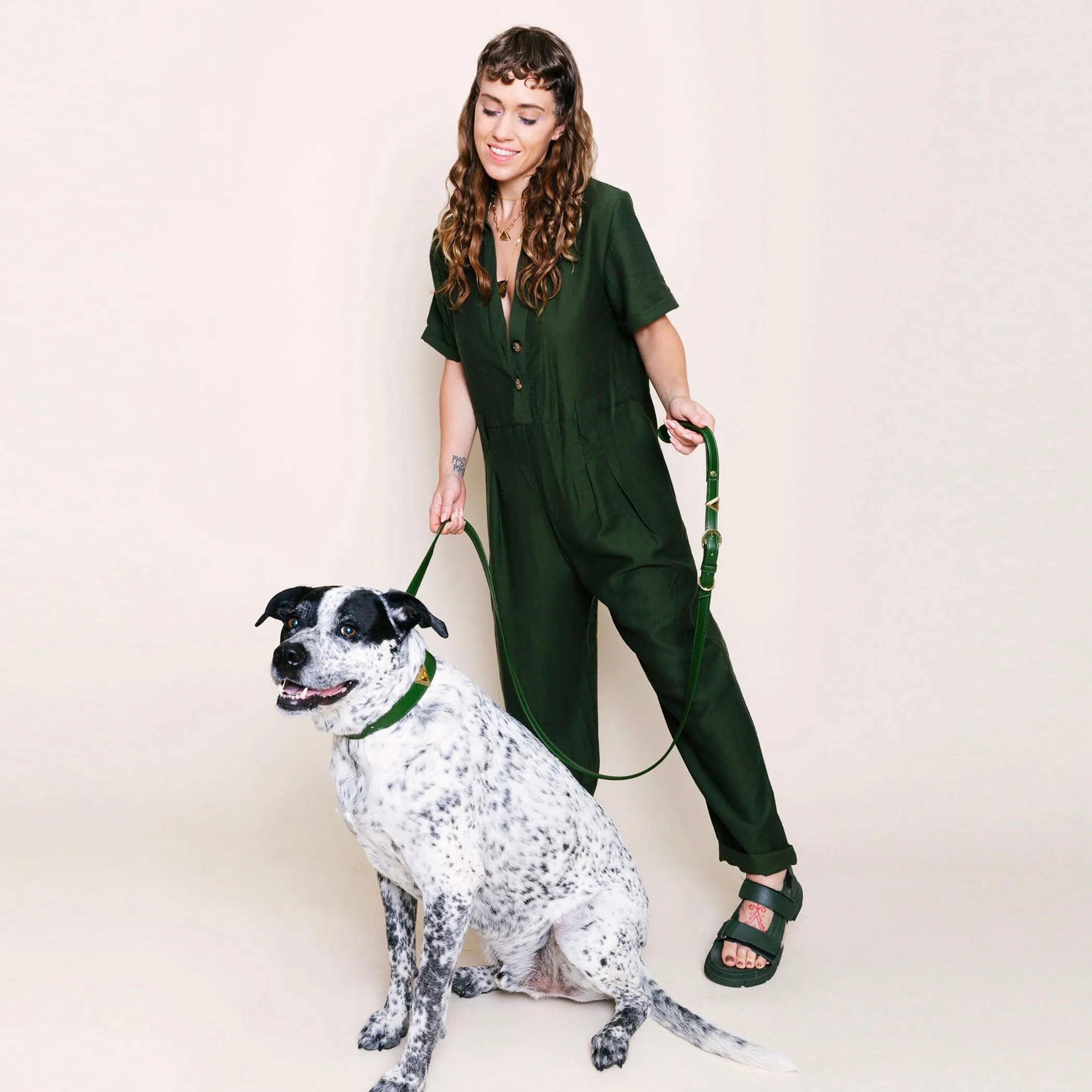 Olive Tiger Match Your Pet Gift Set from DIPHDA featuring pet accessories with olive and tiger print designs.