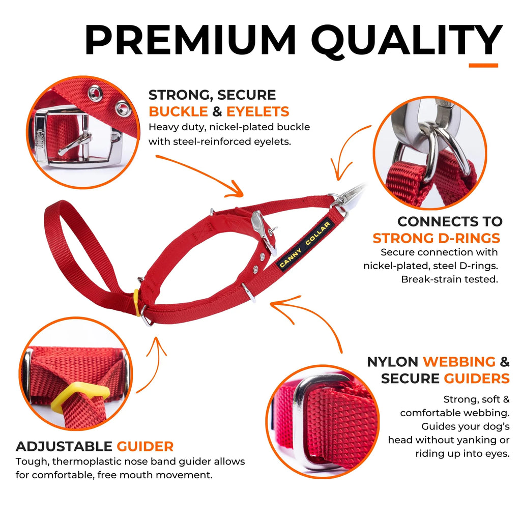CannyCo America Canny Collar No-Pull Dog Head Collar for gentle leash training, shown on a medium-sized dog.
