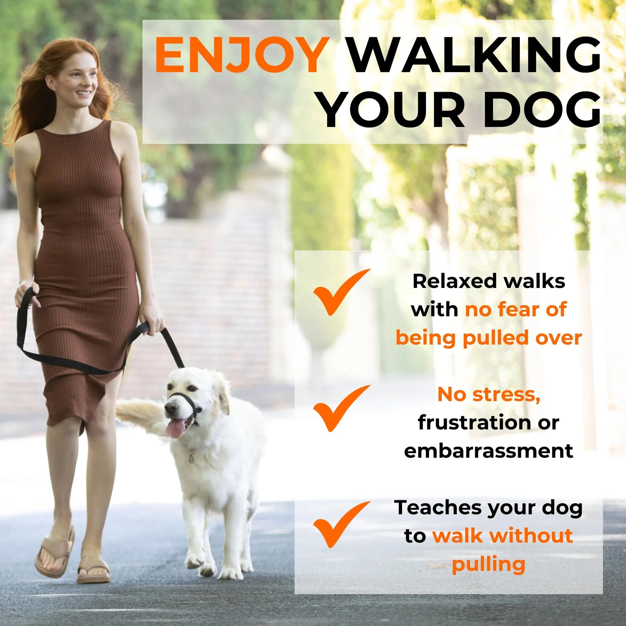 CannyCo America No-Pull Dog Head Collar showing a gentle, humane design for leash training on a medium-sized dog.