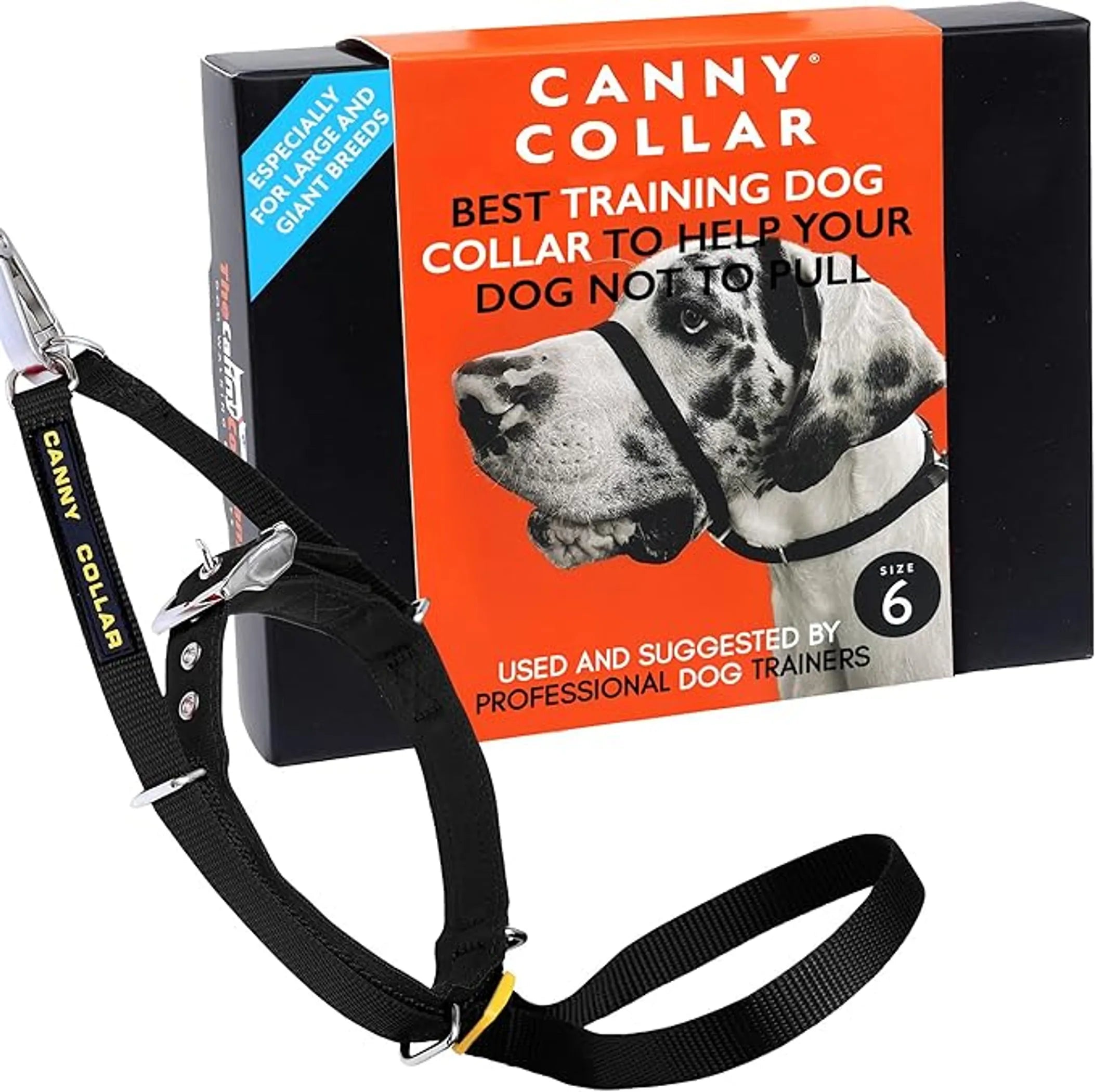 CannyCo America No-Pull Dog Collar with gentle head harness for humane leash training, shown on a medium-sized dog.