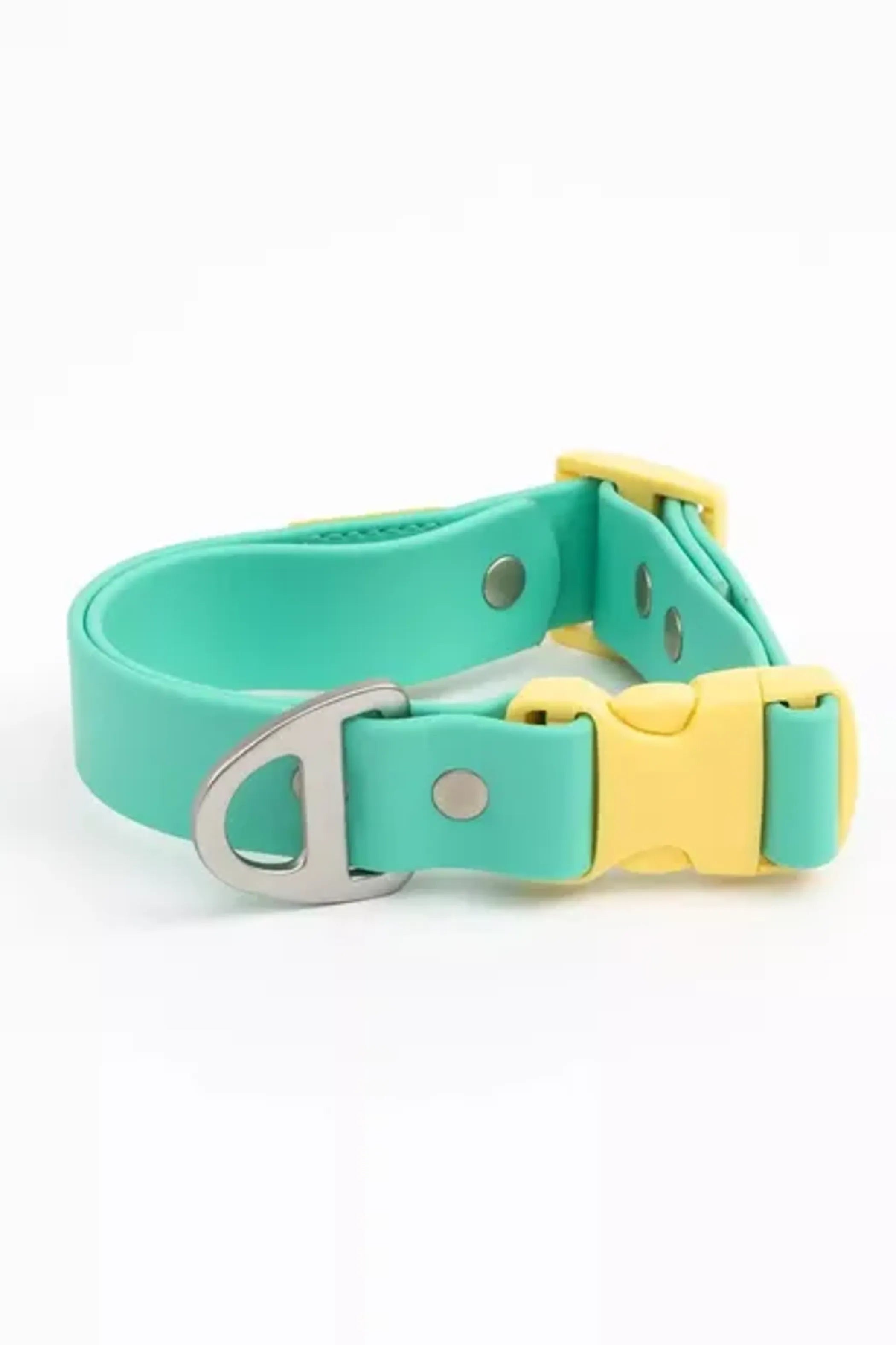 Colorful waterproof dog collar from Aria the Fox featuring a tropical island vibe, suitable for all dog breeds.