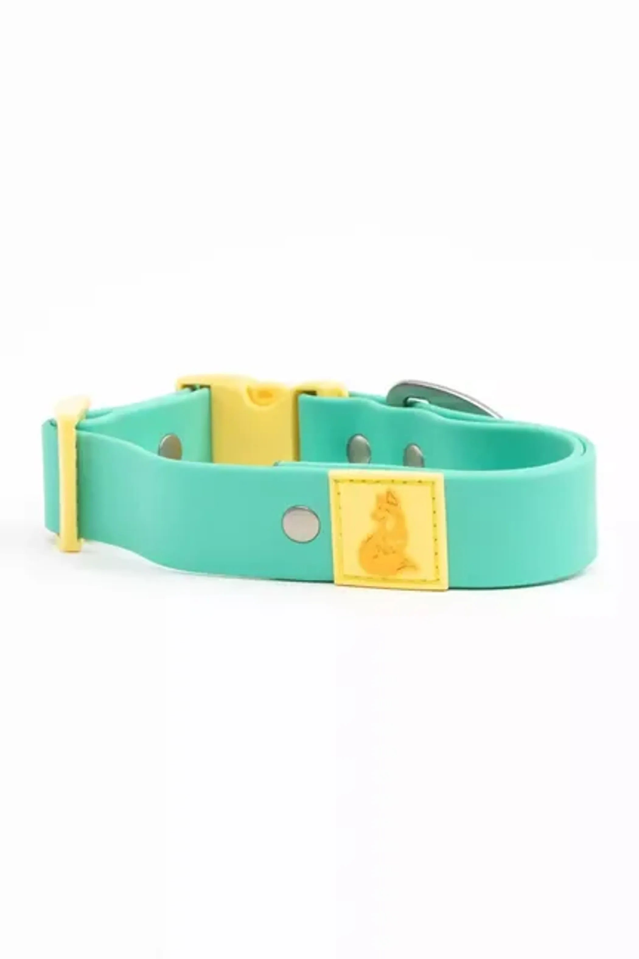 Colorful waterproof dog collar from Aria the Fox featuring tropical island vibes for stylish, durable pet wear.