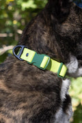 Mossy Pine waterproof dog collar from Aria the Fox with adjustable strap and durable material.