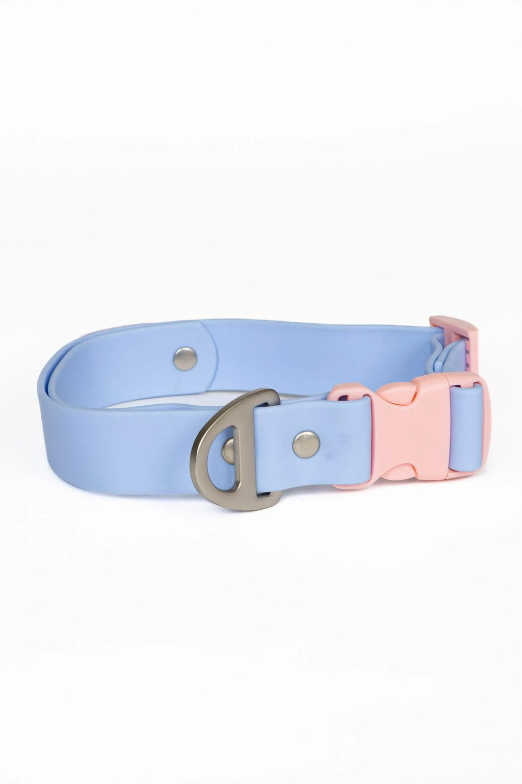 Blue Sky Orchid waterproof dog collar by Aria the Fox, featuring vibrant blue flower design on durable nylon.