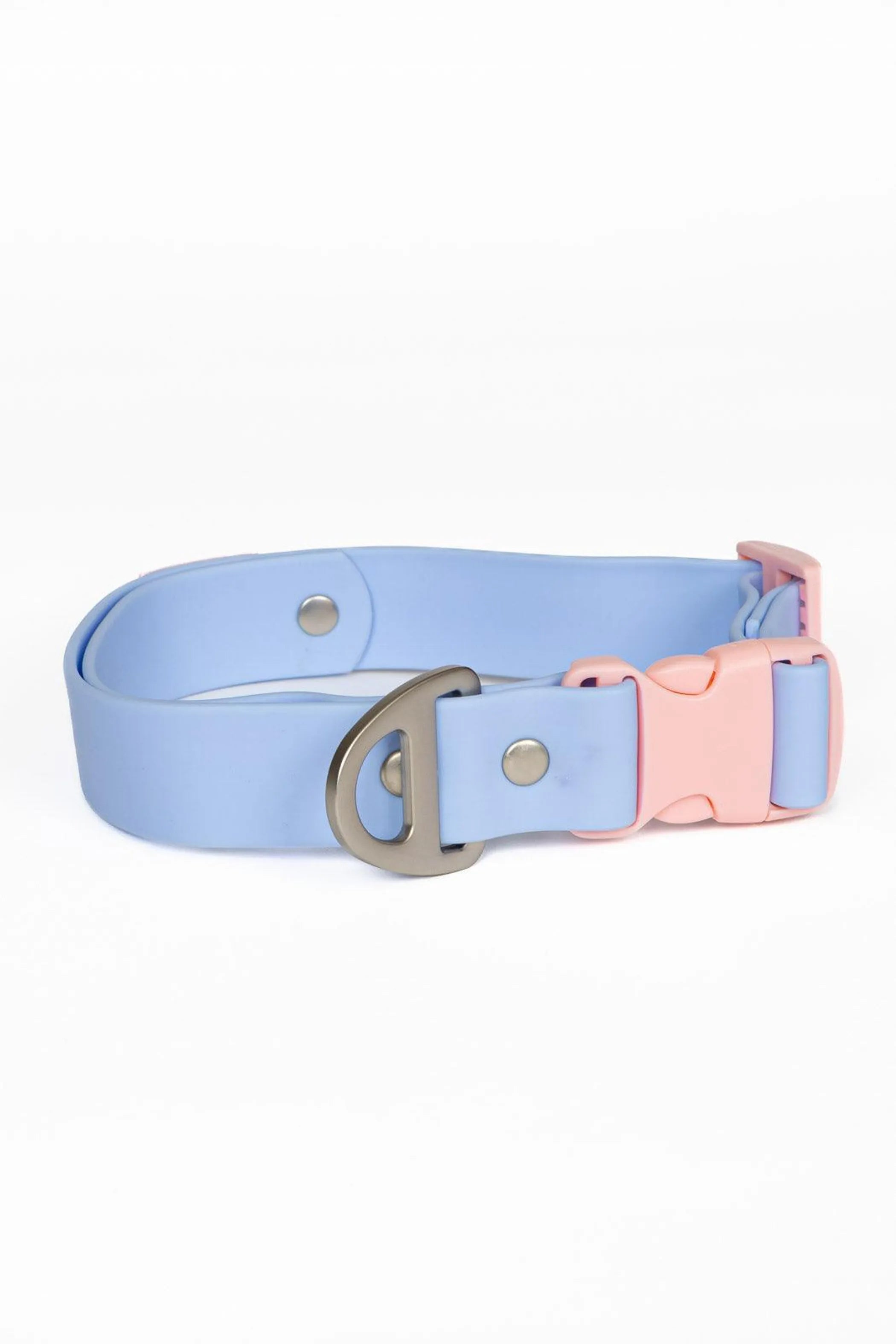 Blue Sky Orchid waterproof dog collar by Aria the Fox, featuring vibrant blue flower design on durable nylon.