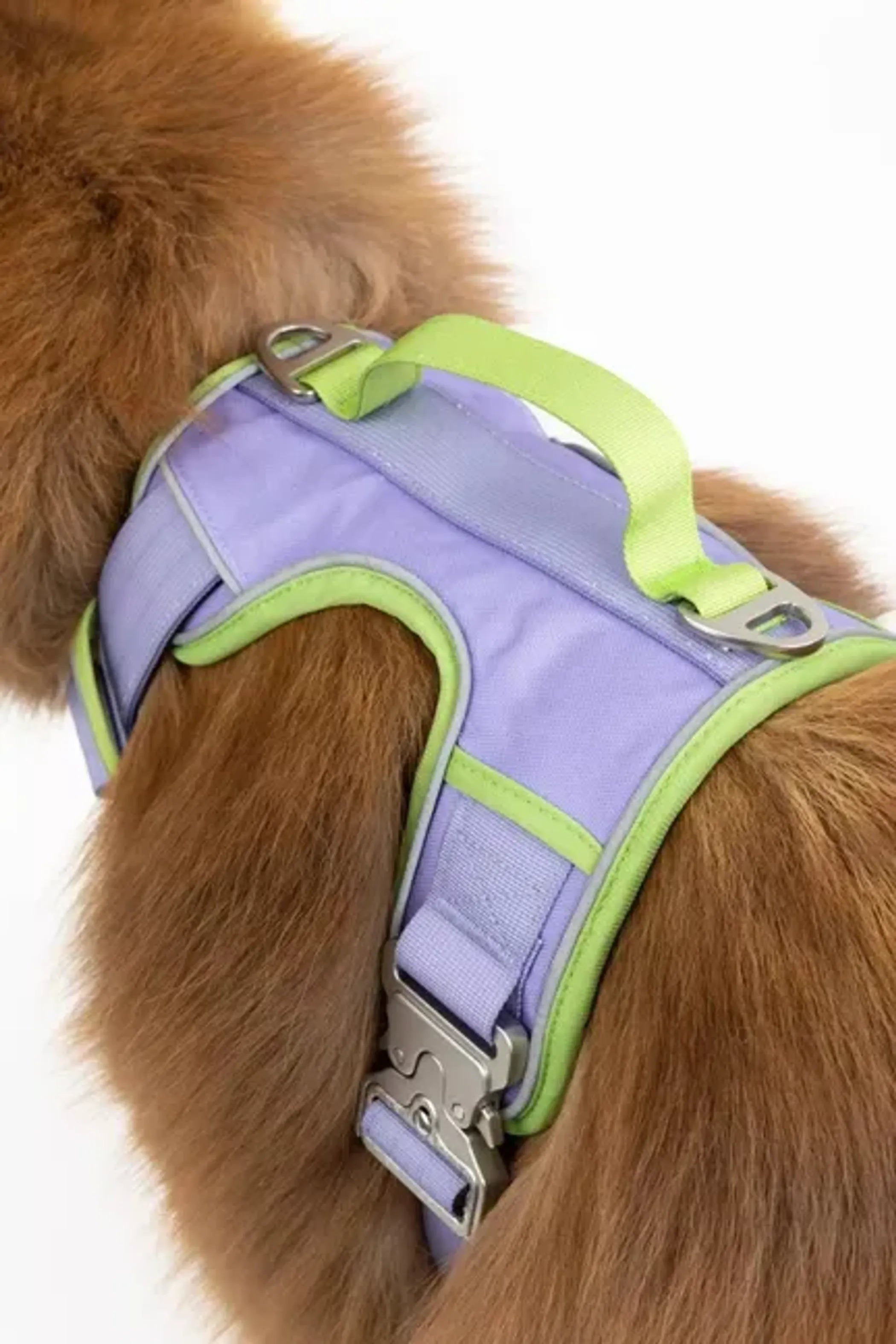 Lavender Garden Ultimate Dog Harness by Aria the Fox, soft adjustable dog harness with floral lavender design for small to medium dogs.