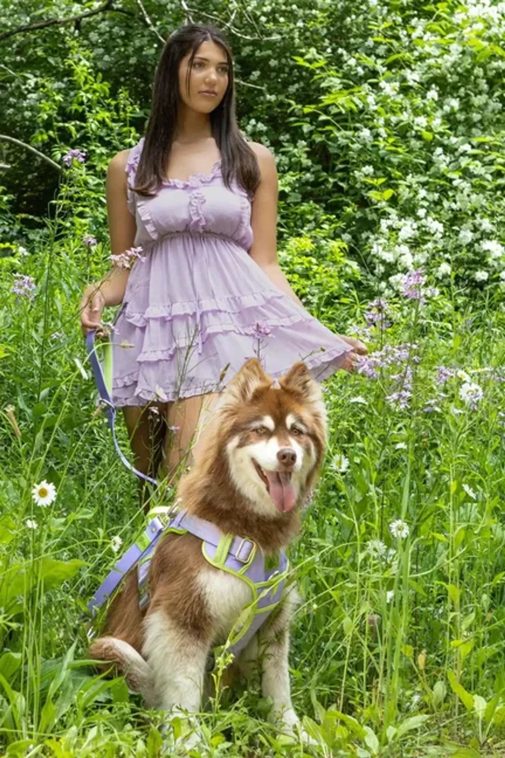Lavender Garden Ultimate Dog Harness by Aria the Fox, padded adjustable harness for small and medium dogs, with lavender floral pattern.