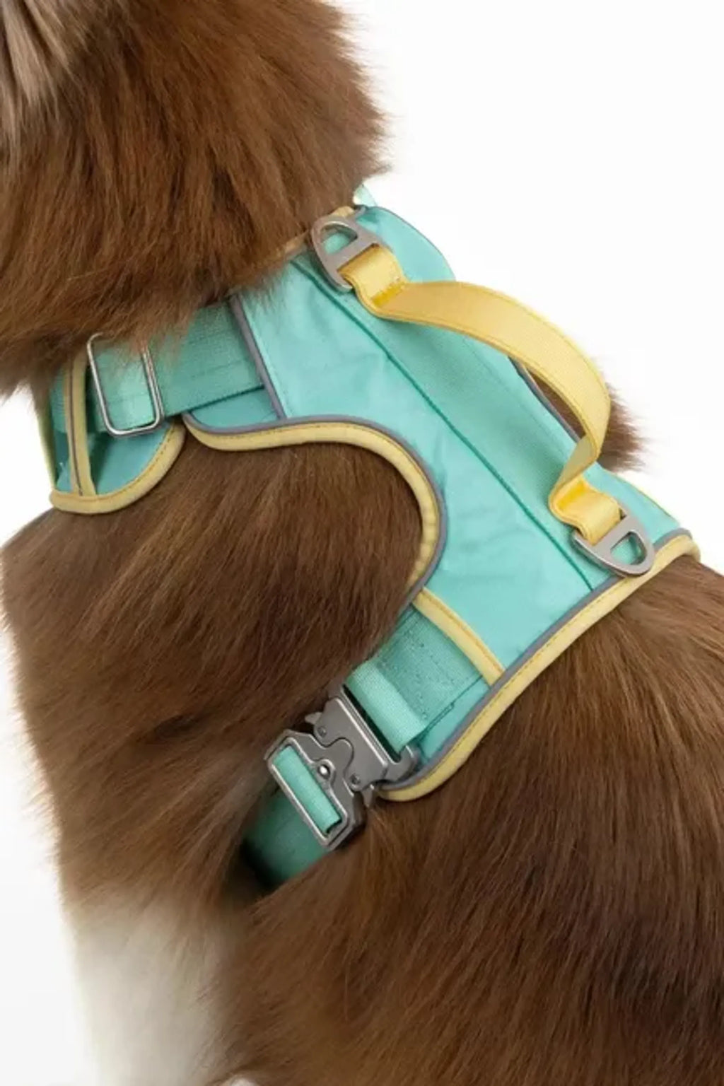 Aria the Fox Island Vibes Ultimate Dog Harness with adjustable straps and padded design for comfortable pet walking.