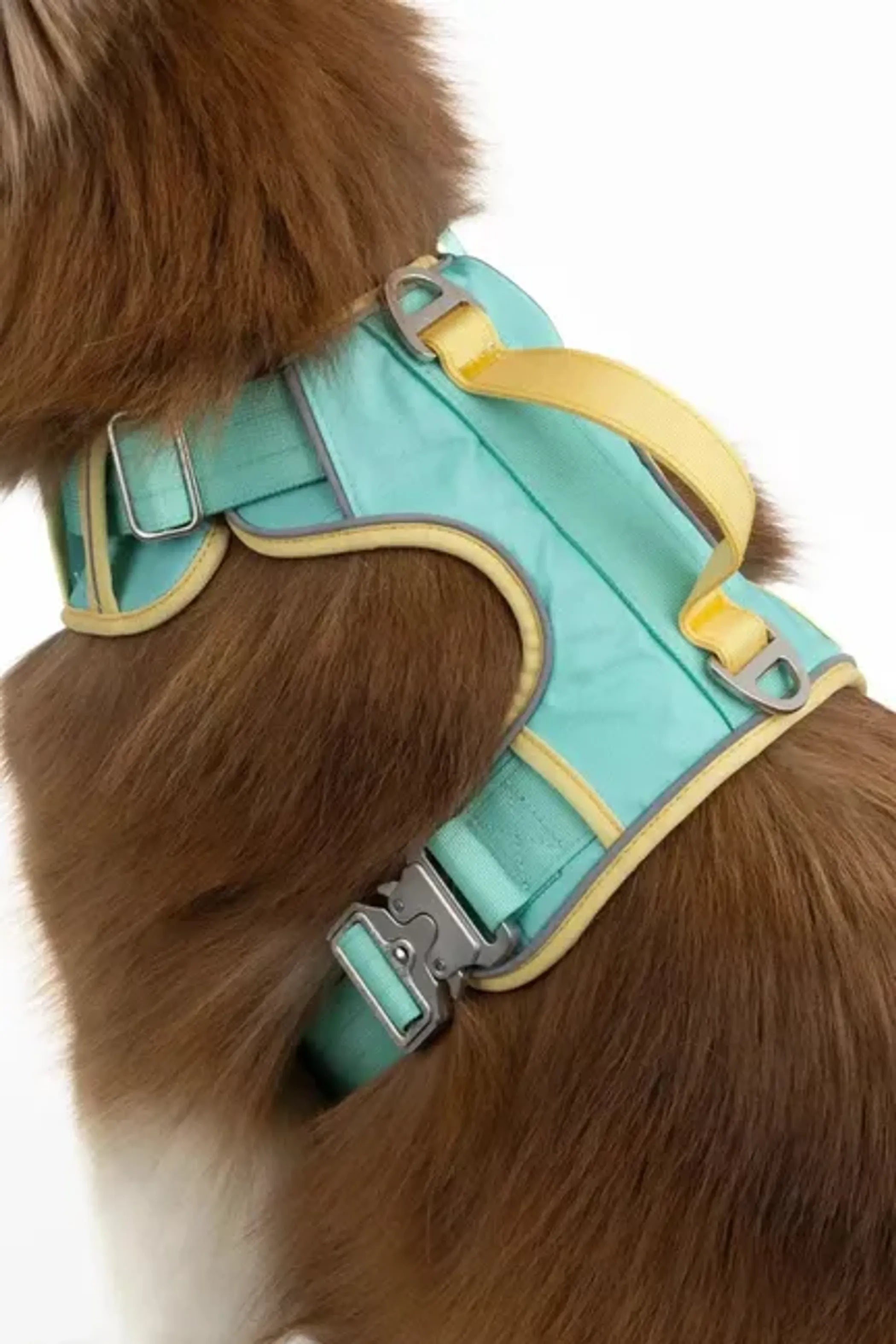 Aria the Fox Island Vibes Ultimate Dog Harness with adjustable straps and padded design for comfortable pet walking.