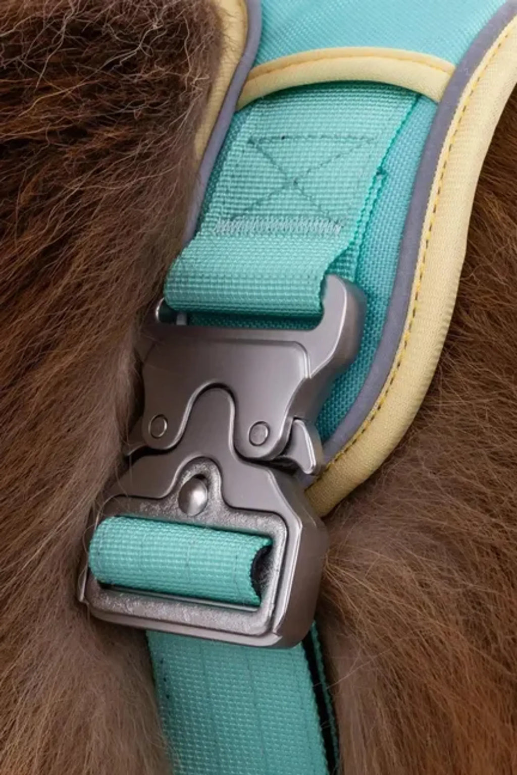 Aria the Fox Island Vibes Ultimate Dog Harness with adjustable straps and breathable material for comfortable pet walking.