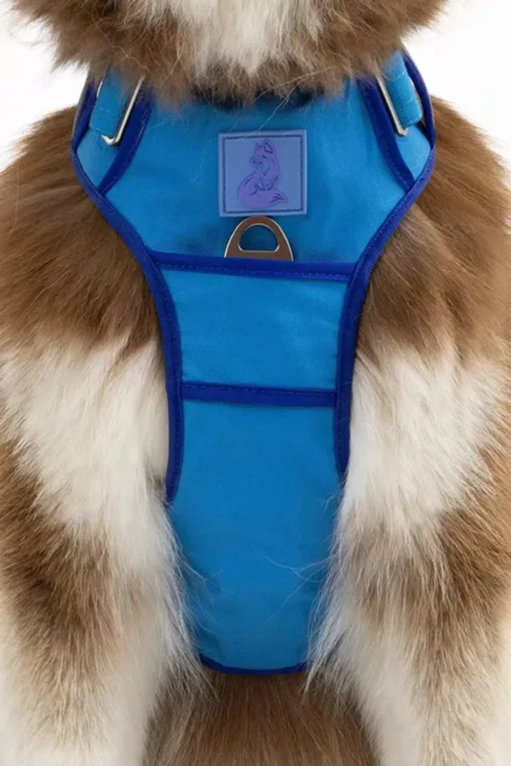 Aria the Fox Dockside Adventures Ultimate Dog Harness with adjustable straps and padded chest for comfortable pet walking.