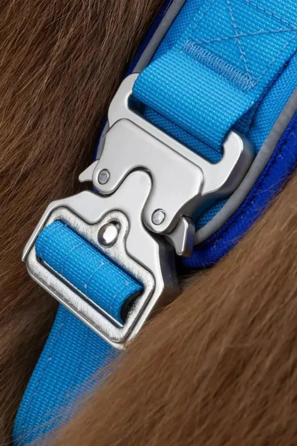 Aria the Fox Dockside Adventures Ultimate Dog Harness in black with adjustable straps and sturdy buckles for outdoor walks.