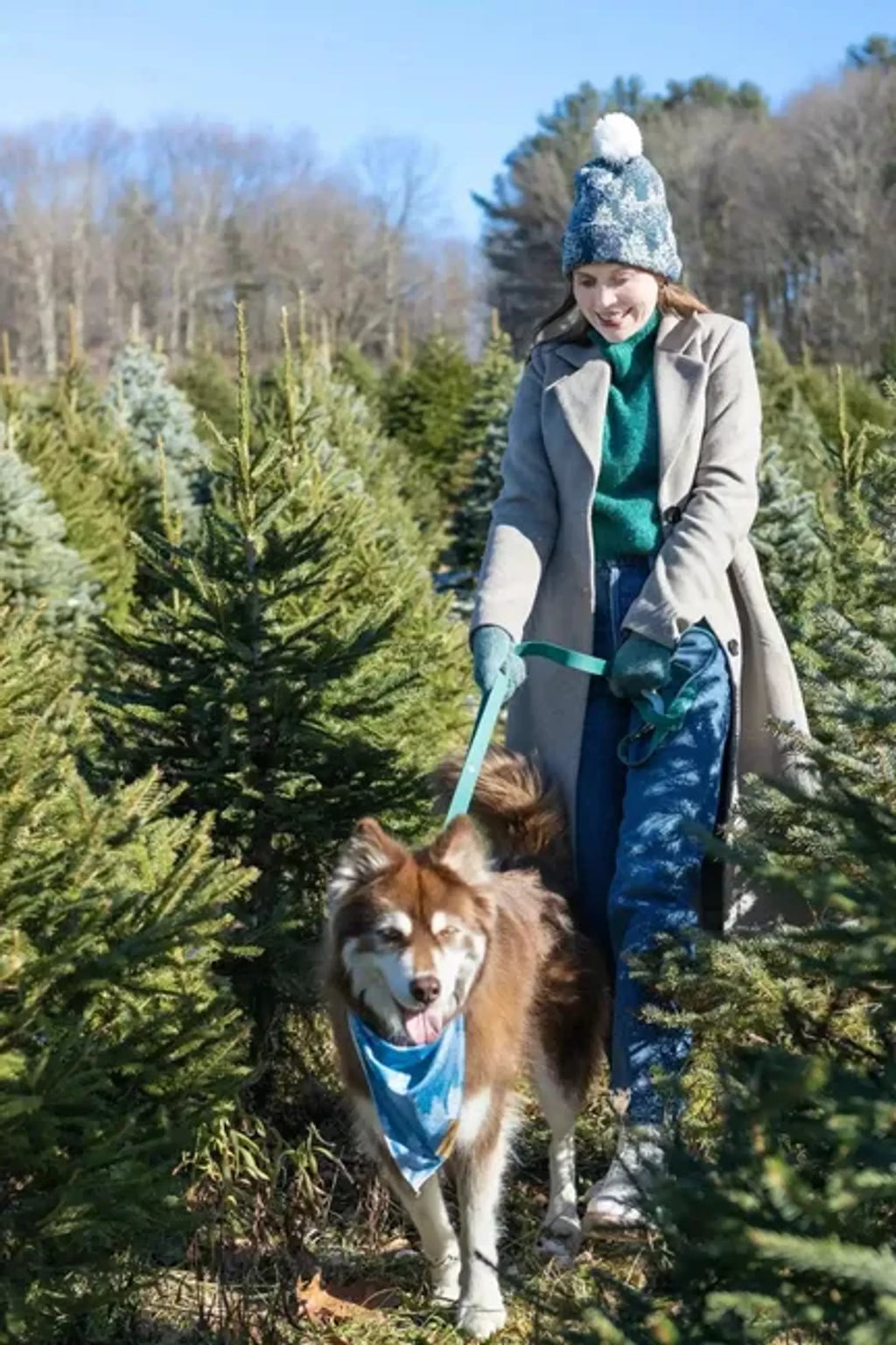 Siberian Spruce waterproof dog leash by Aria the Fox, durable nylon with metal clasp, suitable for outdoor walks.