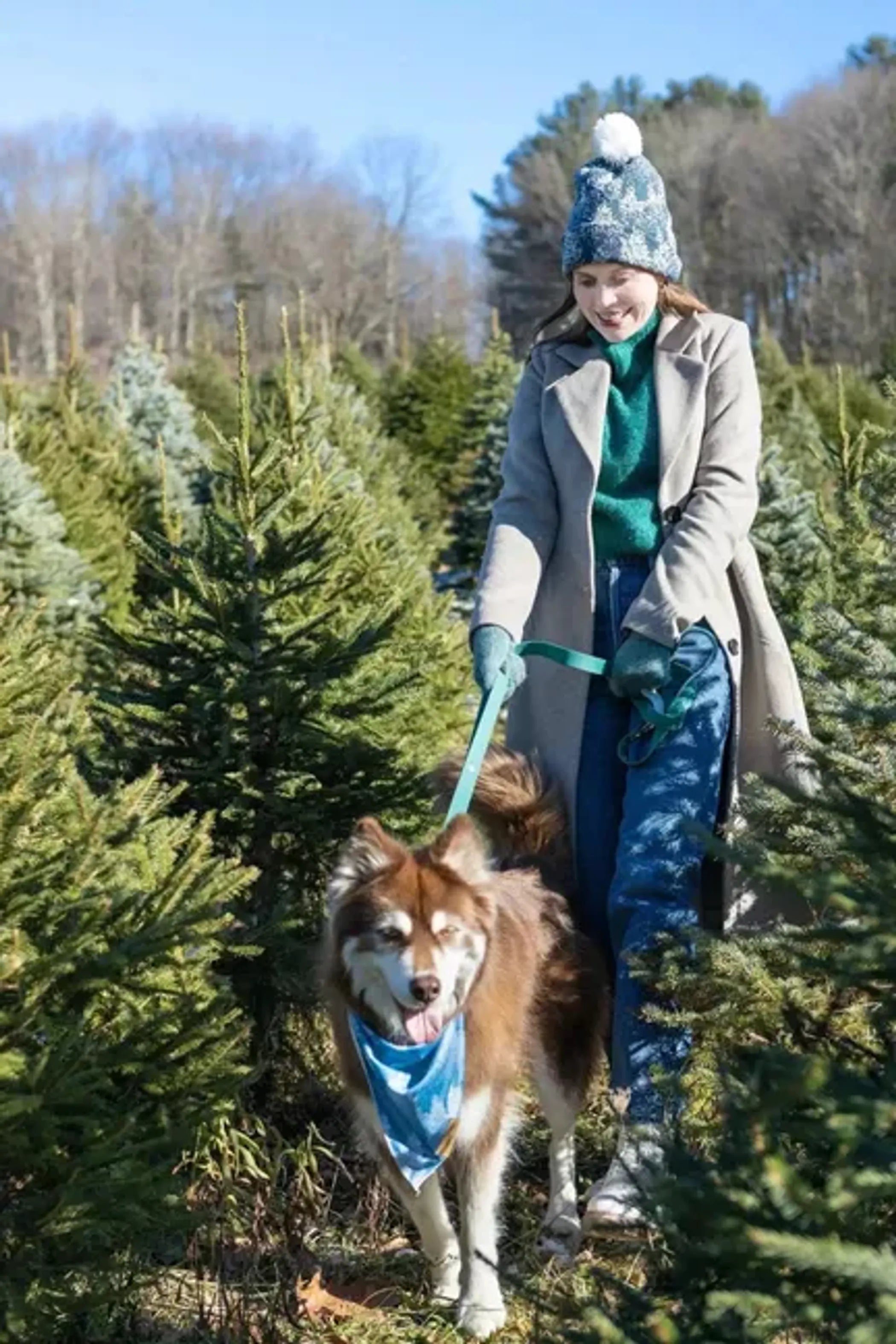 Siberian Spruce waterproof dog leash by Aria the Fox, durable nylon with metal clasp, suitable for outdoor walks.