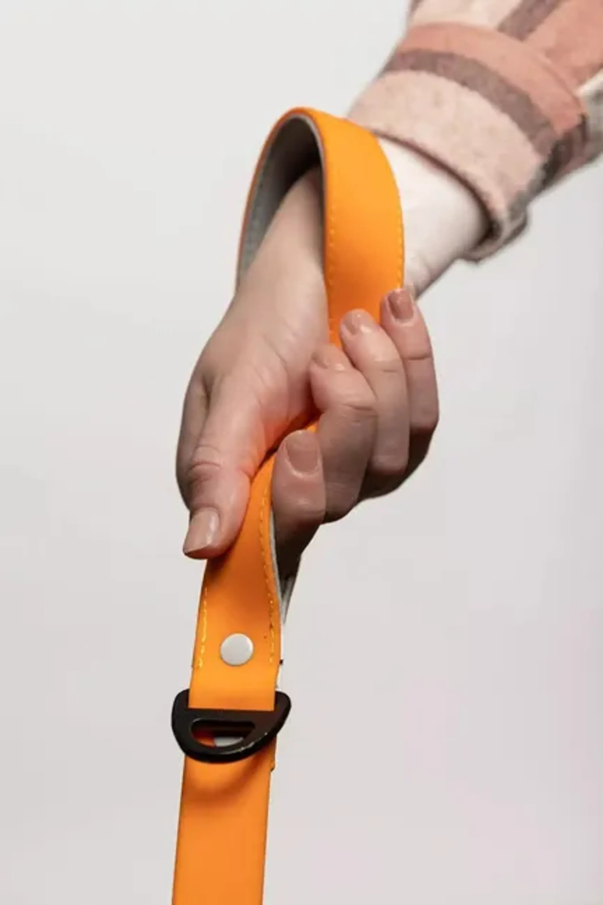 Crimson Glow waterproof dog leash by Aria the Fox with durable nylon material and metal clasp for secure outdoor walks.