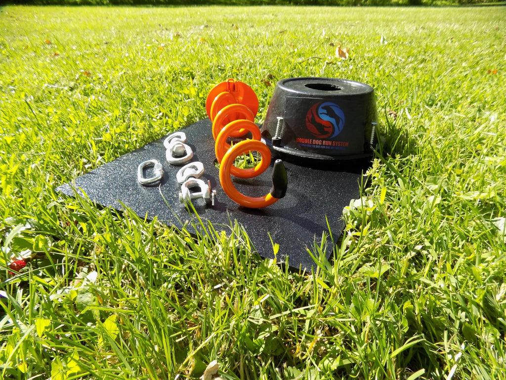 Double dog run with tangle-free two dog tie out stake by Infinitely Tied, showing durable metal stake and connected leashes for dogs.