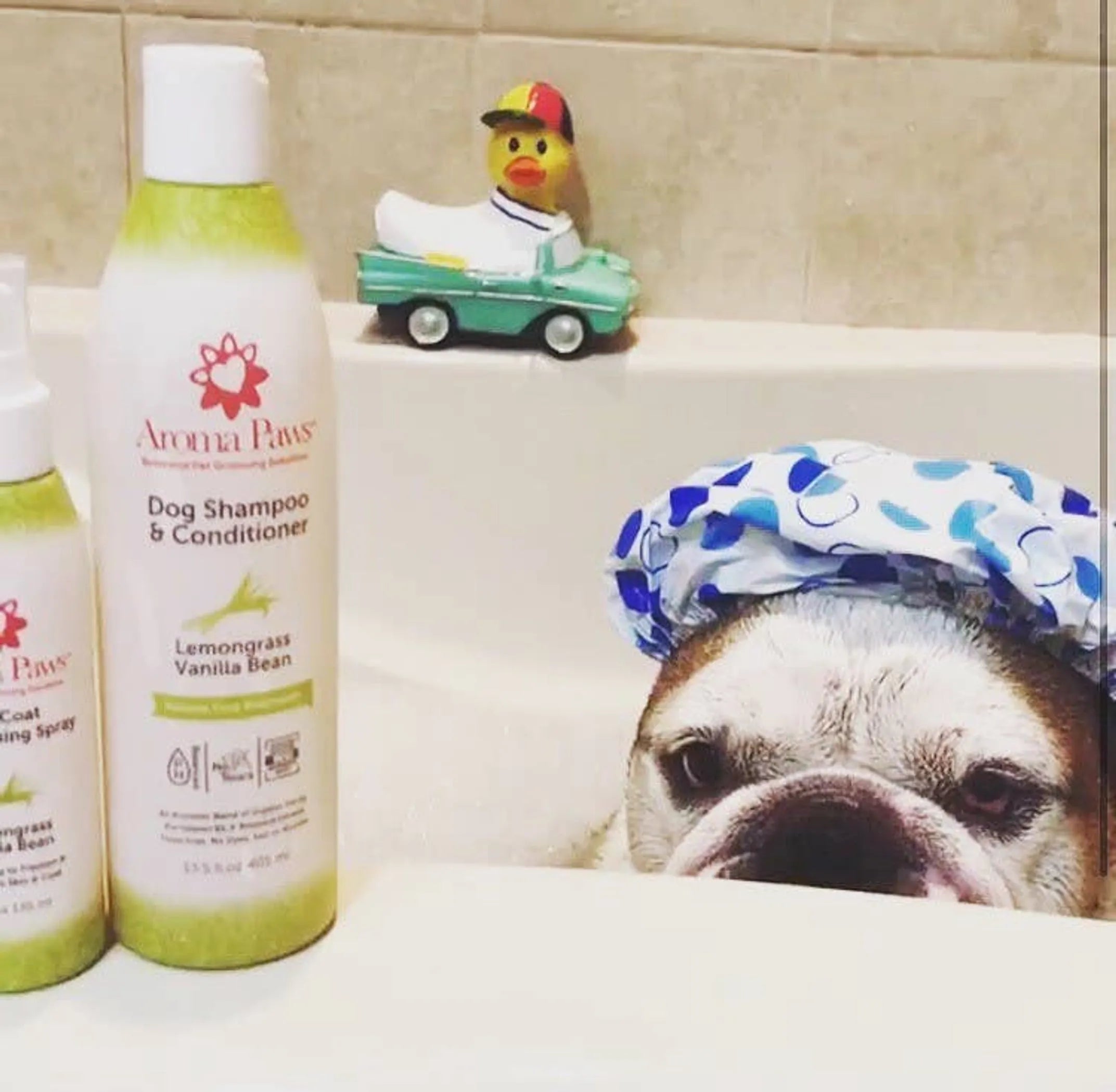 Aroma Paws 4.5 oz dog coat spray with lemongrass and vanilla bean scent, in a clear spray bottle with a white cap.