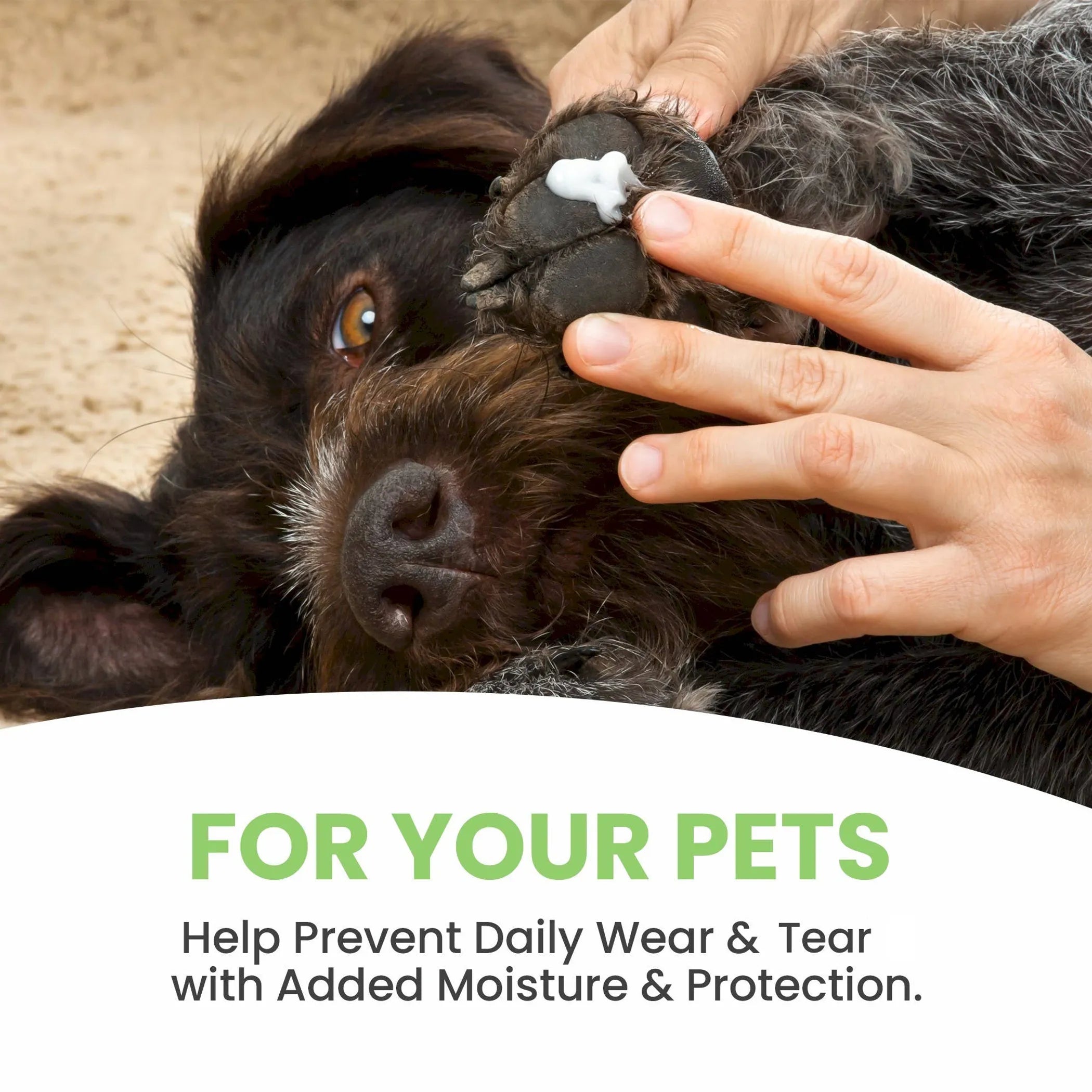 Aroma Paws 2 oz paw conditioning treatment for dogs and cats, soothing paw balm in a small container with natural ingredients.