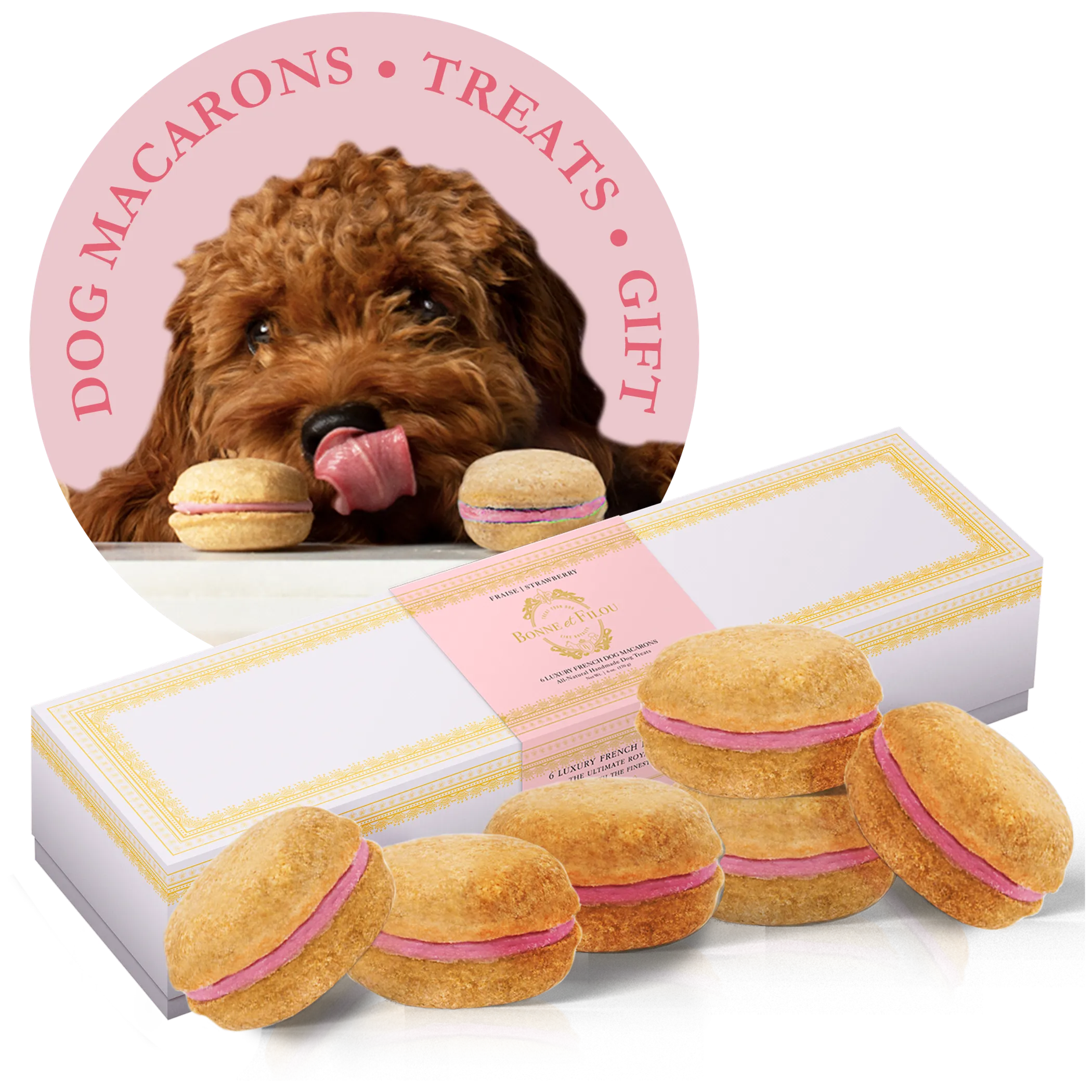 Bonnie et Filou Dog Macarons box of 6 gourmet treats for dogs, featuring colorful, pastel-colored dog treats in a packaging box.
