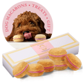 Box of six Bonne et Filou Dog Macarons treats, gourmet dog treats in colorful packaging, for dogs' special snacks.