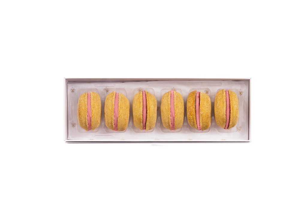 Bonnie et Filou Dog Macarons box of 6 gourmet dog treats, colorful and appealing, with a focus on the treat packaging and design.