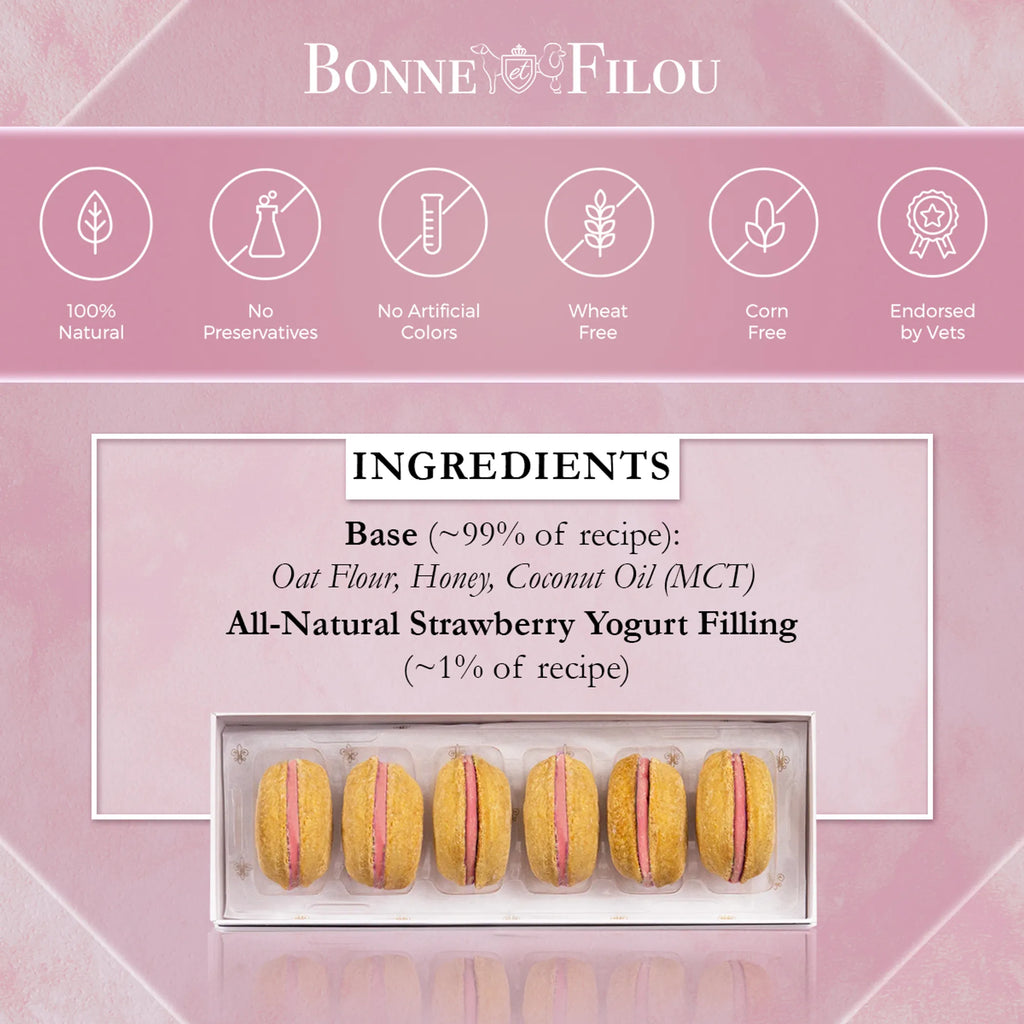 Bonne et Filou Dog Macarons box with six gourmet dog treats, featuring colorful, dog-friendly macarons in a decorative packaging.