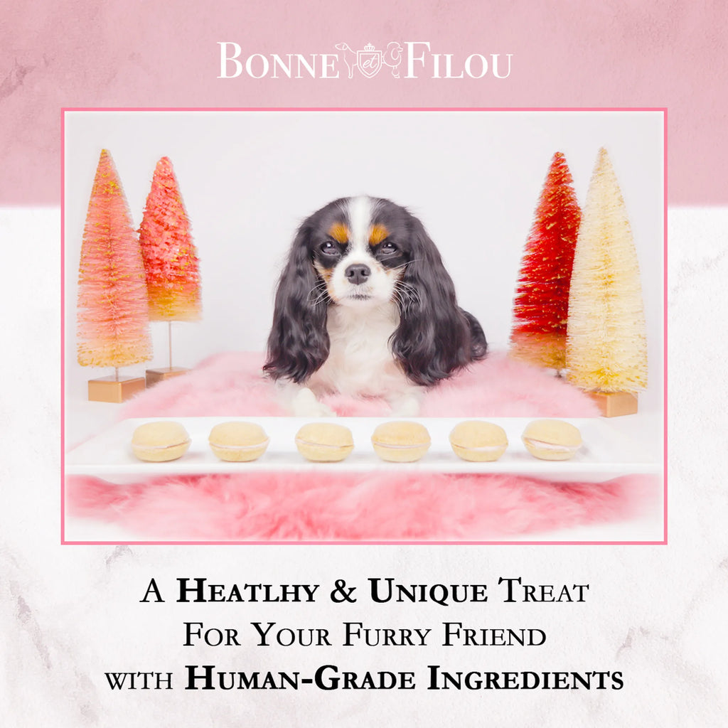 Box of 6 Bonne et Filou Dog Macarons, gourmet dog treats from Brandywines Time in colorful packaging.