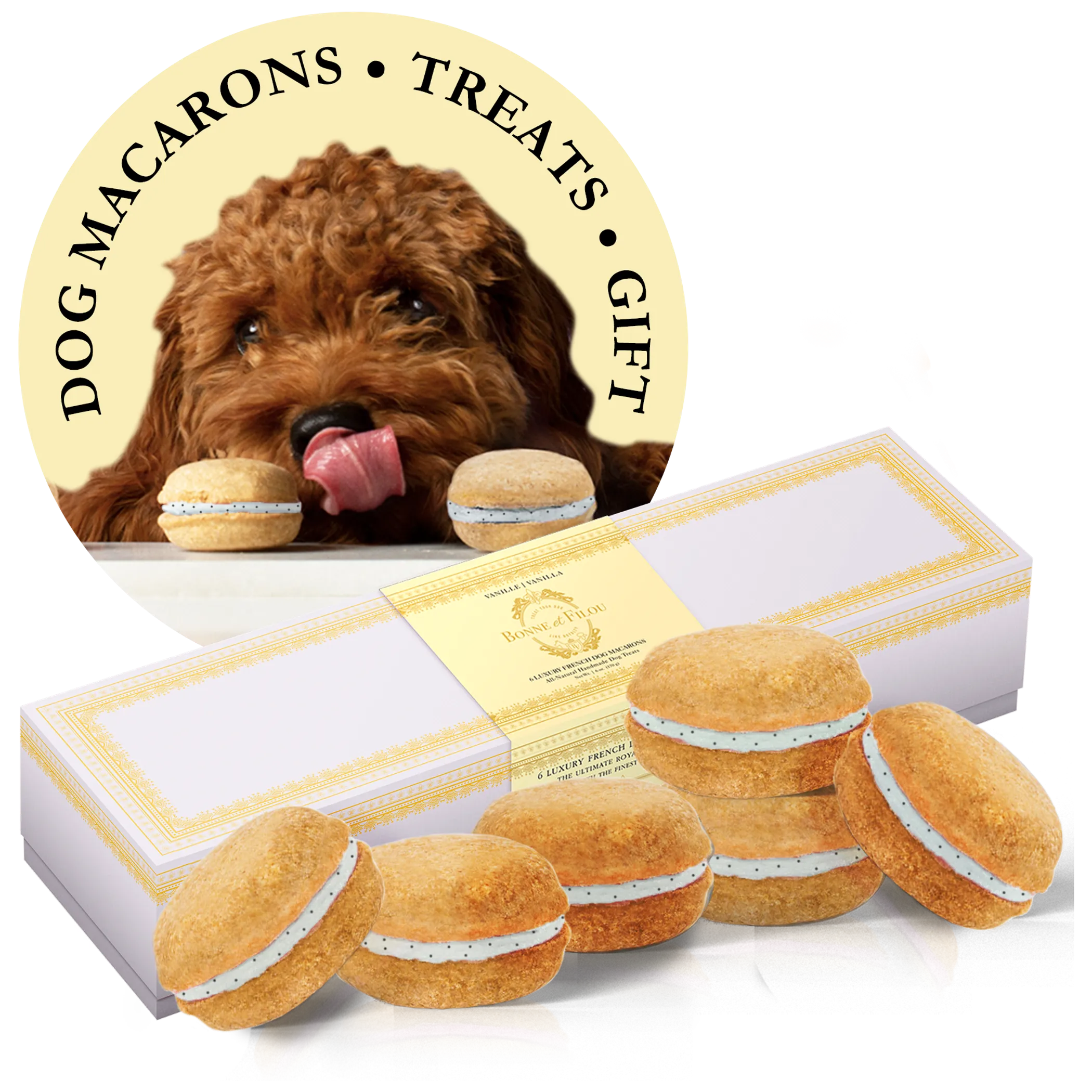 Bonne et Filou dog treats box with six gourmet macarons for dogs, featuring colorful, bite-sized treats in a decorative box.