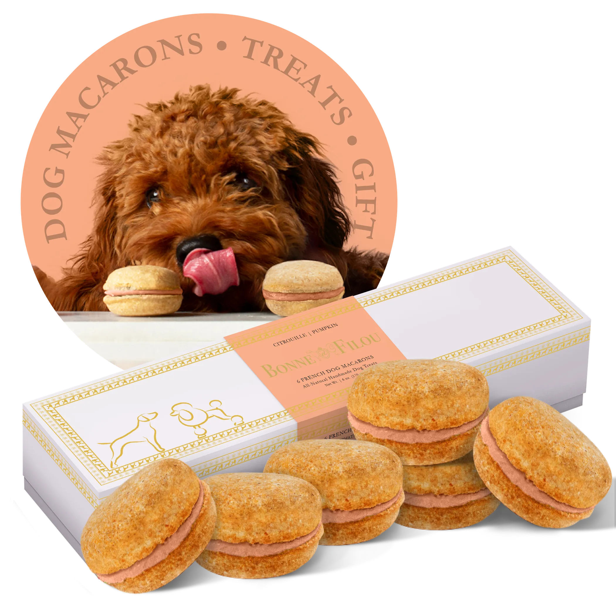 Bonne et Filou Dog Macarons box of 6 gourmet treats with colorful, pet-friendly macarons for dogs.