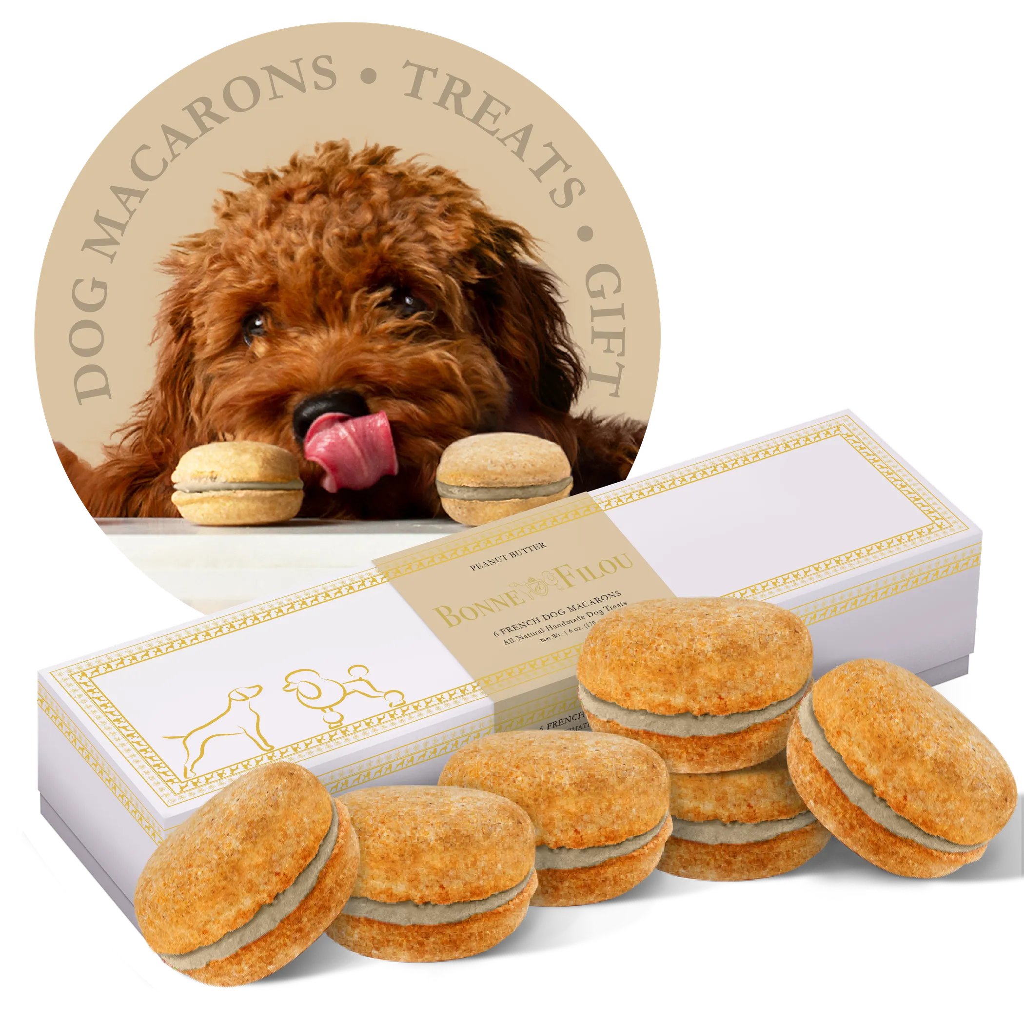 Box of 6 Bonne et Filou gourmet dog treats shaped like macarons, colorful and appealing for dogs from Brandywines Time.