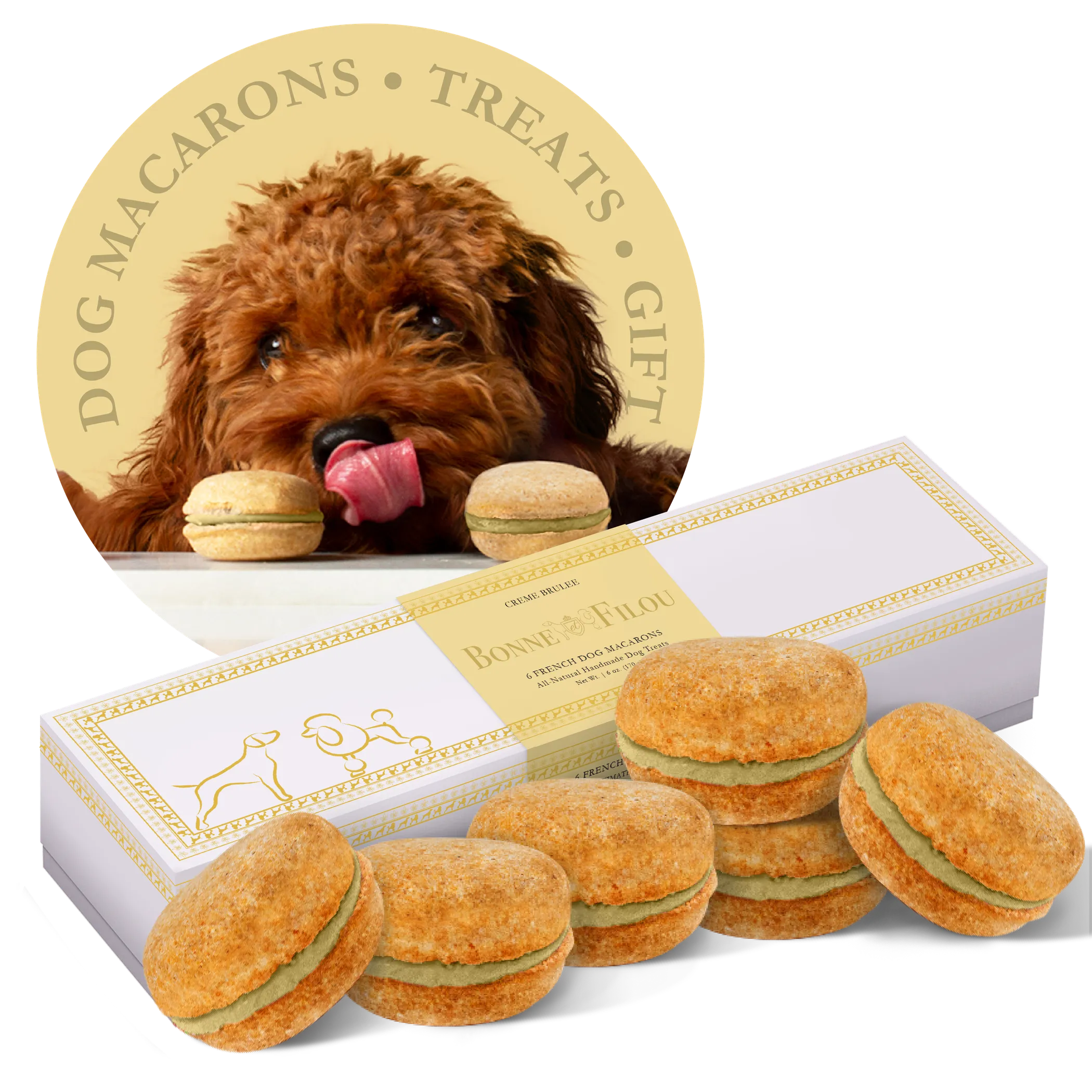 Box of 6 gourmet Dog Macarons treats by Bonne et Filou featuring colorful, dog-friendly macarons in a sleek packaging.
