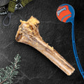 Large ostrich cane dog treat from Savannah Pet Food, long-lasting chew for medium to XL dogs, showing the textured, natural ostrich bone.