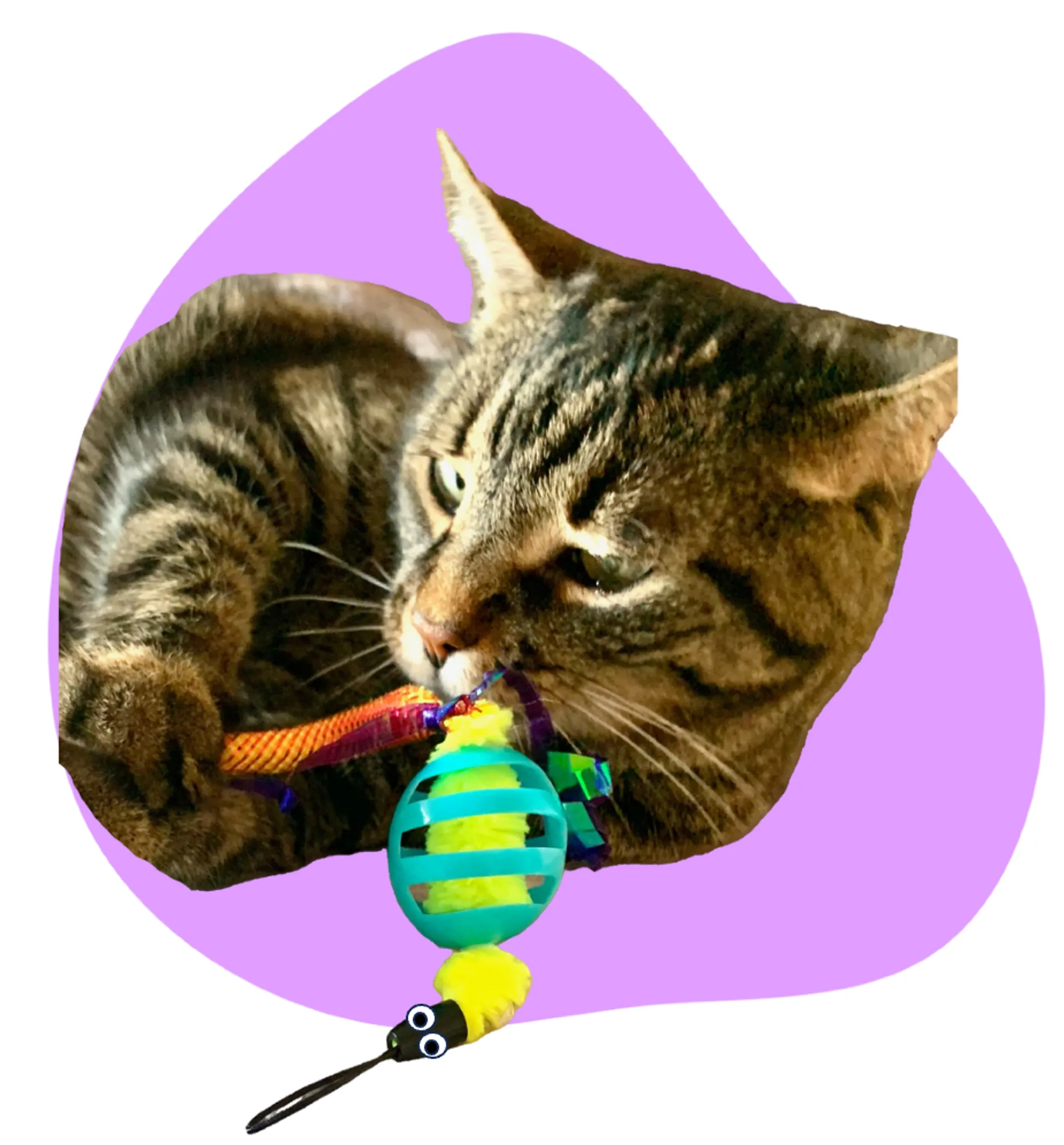 Chewmate Oral Care Floss & Treat Toothbrush Toy for dogs, featuring a durable toothbrush design with dental floss and treat compartment.