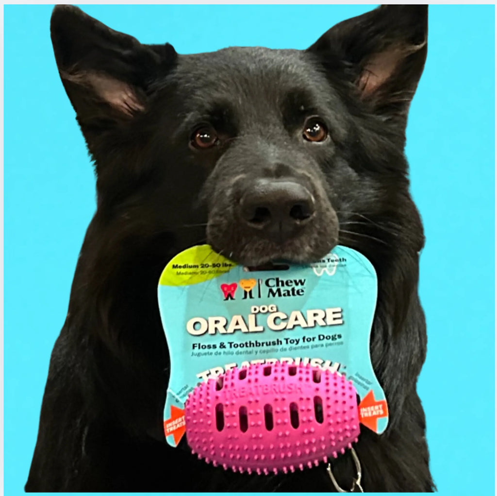 Chewmate Natural Rubber Football Oral Care Toy for dogs, durable dental toy with textured surface for cleaning teeth.