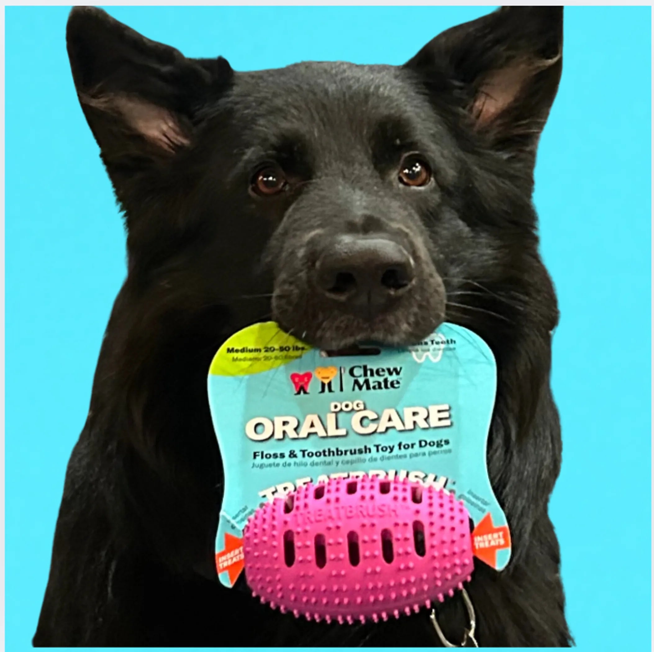 Chewmate Natural Rubber Football Oral Care Toy for dogs, durable dental toy with textured surface for cleaning teeth.