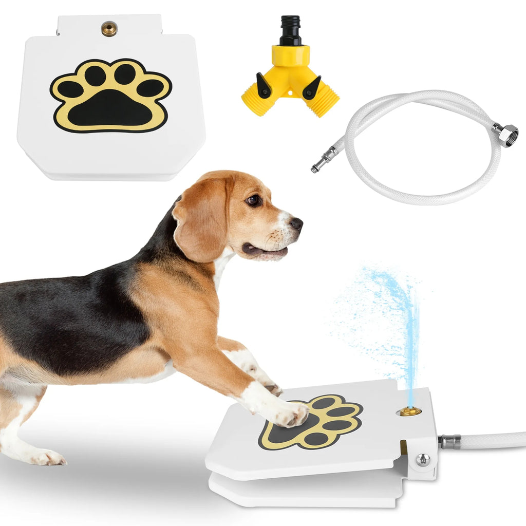 Outdoor Dog Water Fountain for Pets | Interactive Drinking Fountain | Brandywines Time