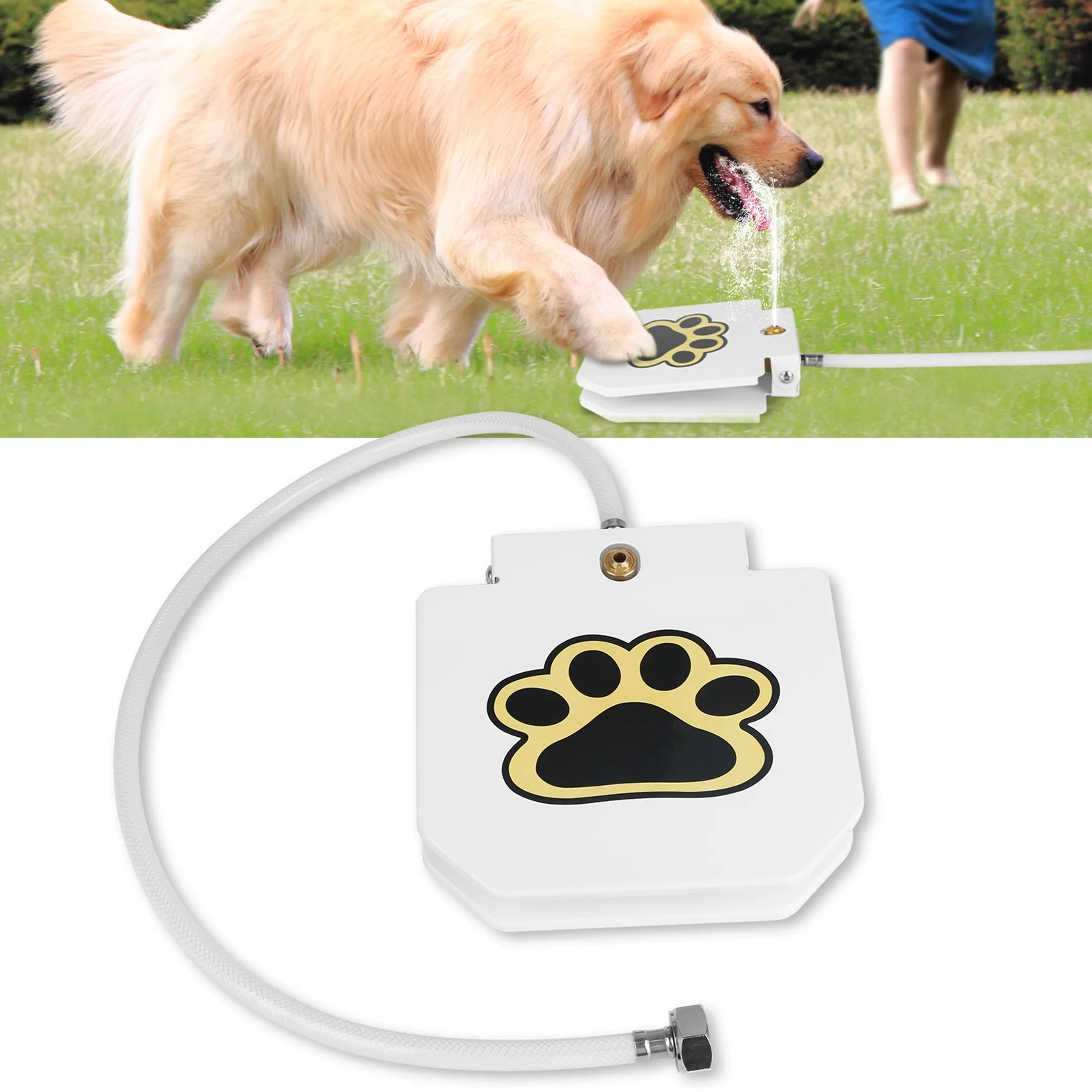 Outdoor Dog Water Fountain for Pets | Interactive Drinking Fountain | Brandywines Time