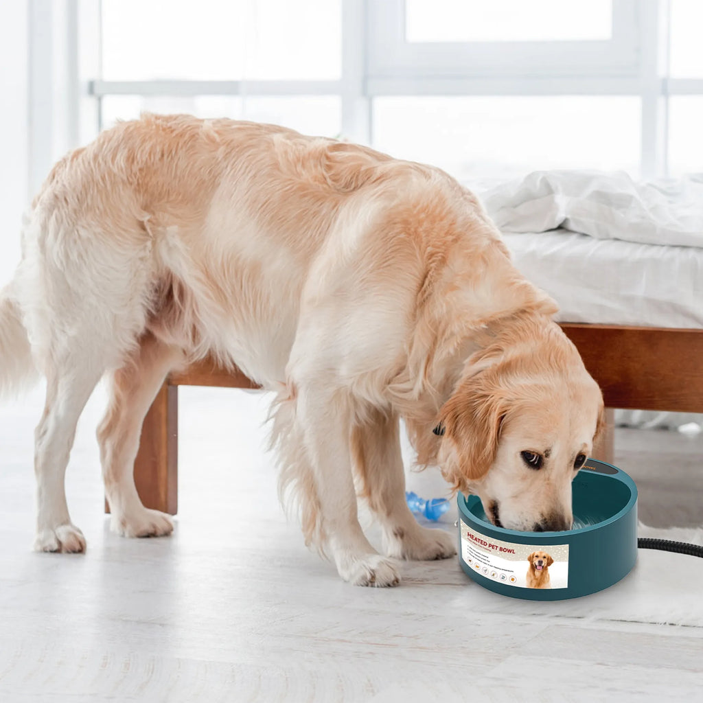 Linx Group heated water bowl for dogs and cats, 74.4oz capacity, with a sleek design for pet hydration.