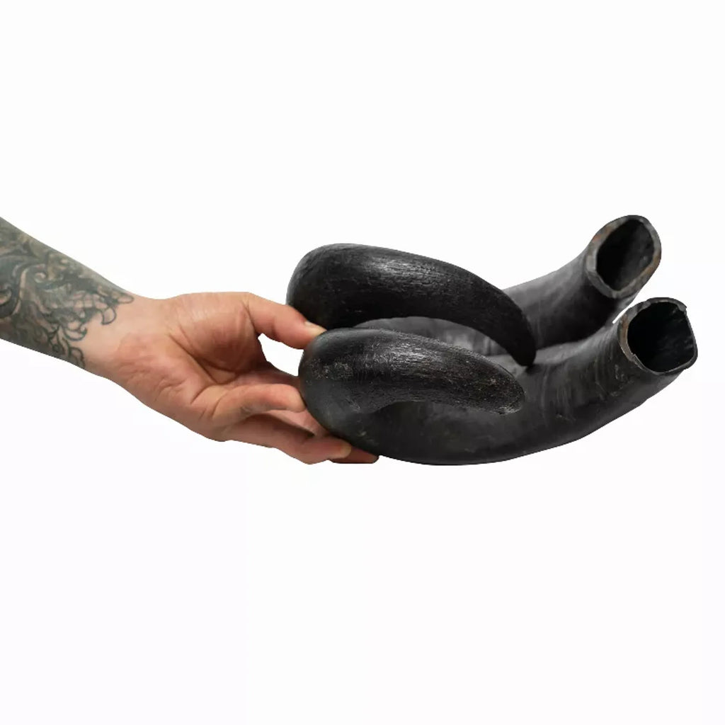 Water buffalo horn dog treats by Rozie's Pet Supply, grain-free and long-lasting chews in a 2-count package.