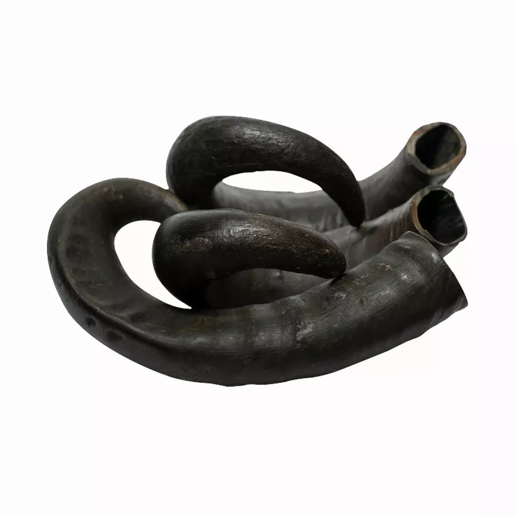 Natural water buffalo horn dog treats from Rozie's Pet Supply, grain-free and gluten-free chews, 2 count in 15 oz package.