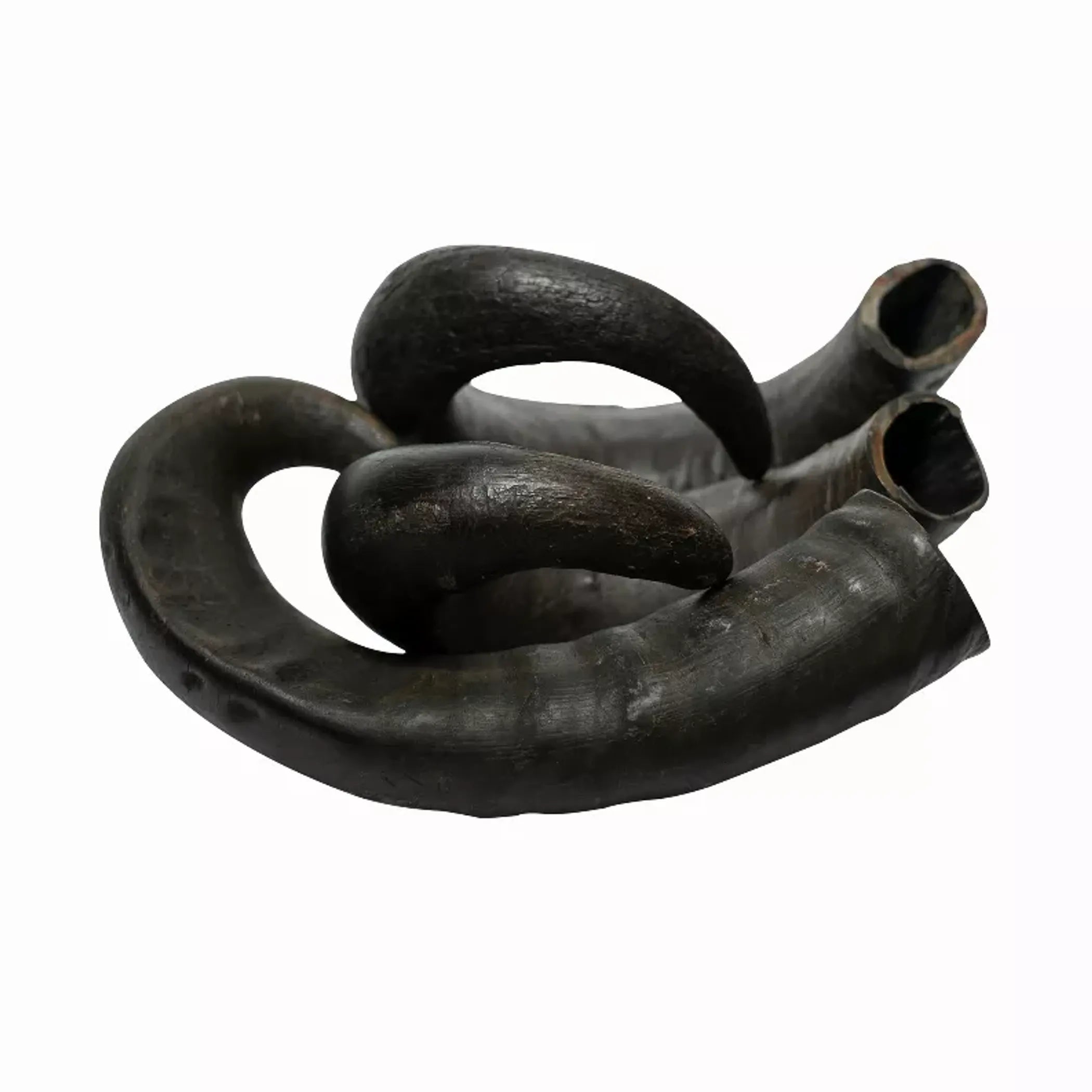 Natural water buffalo horn dog treats from Rozie's Pet Supply, grain-free and gluten-free chews, 2 count in 15 oz package.